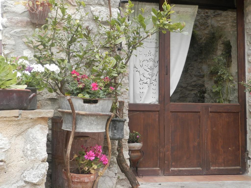 Ferentillo Residenza Di Paese Castello Del Poggio酒店 外观 照片